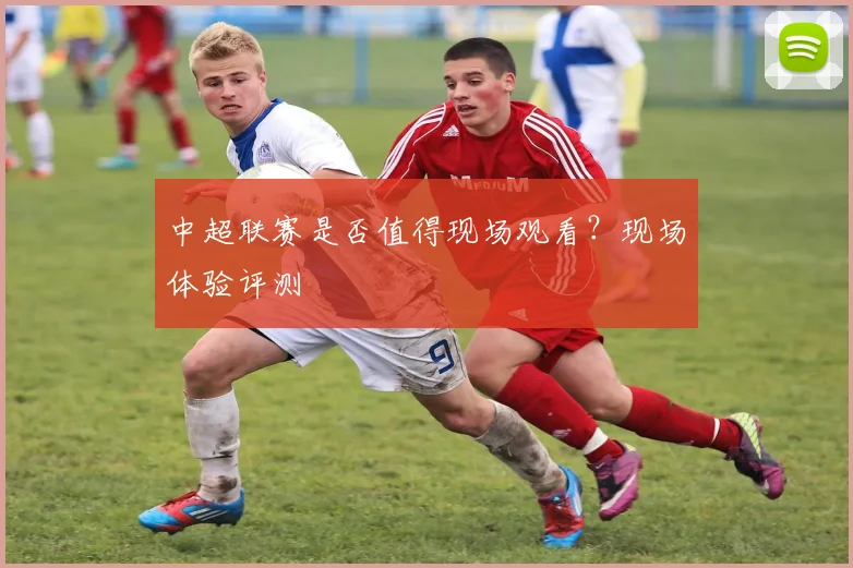 中超联赛是否值得现场观看？现场体验评测