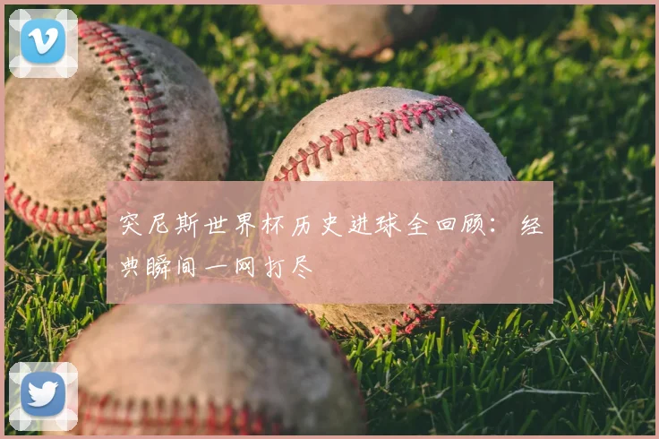 突尼斯世界杯历史进球全回顾：经典瞬间一网打尽