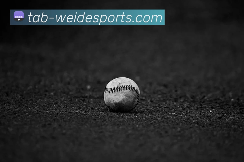 伟德体育平台生态图