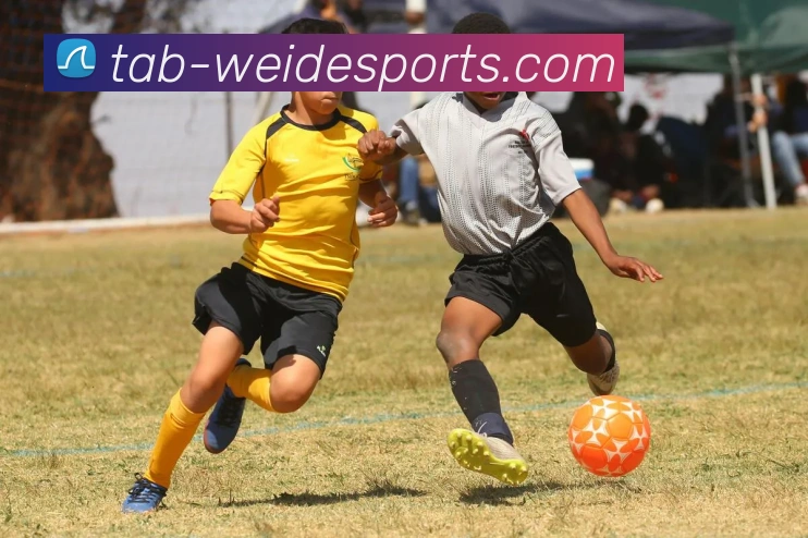 伟德体育APP 封面图